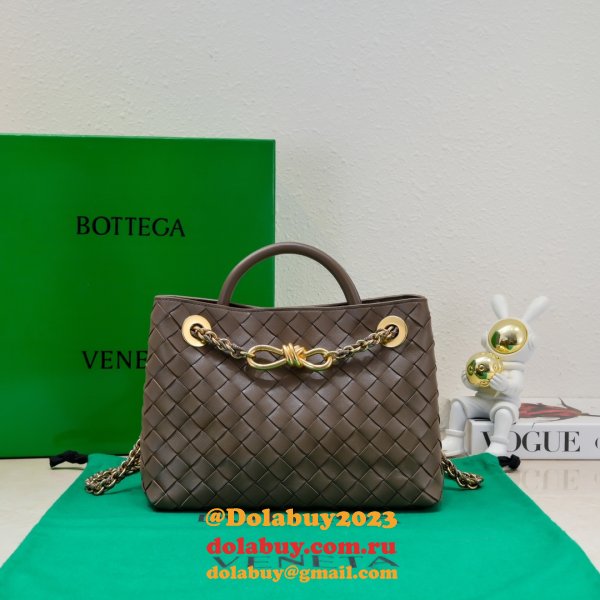 Top Quality BOTTEGA VENETA ANDIAMO small 25cm tote bag